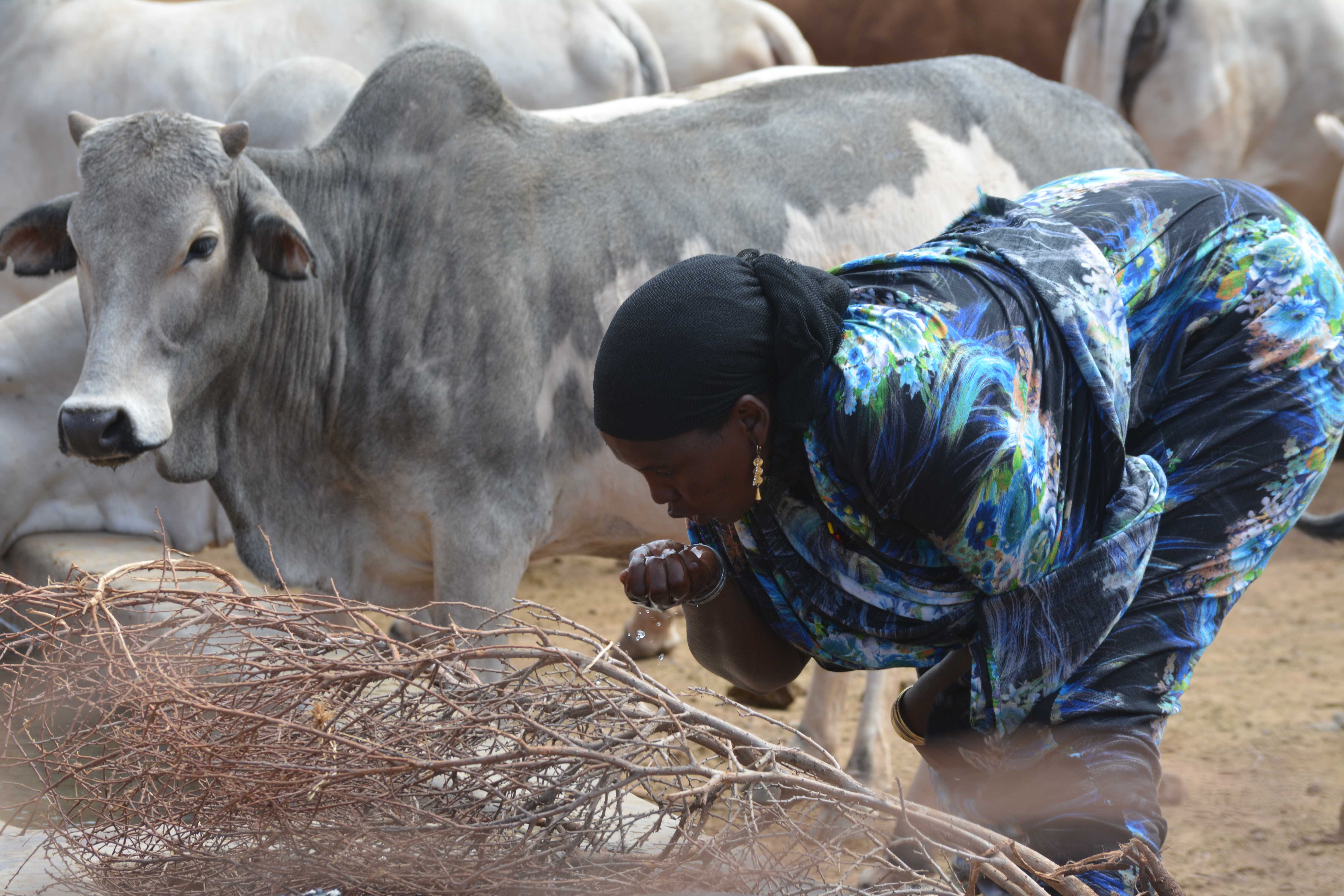 Food Security